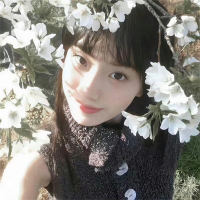 野性的冬天